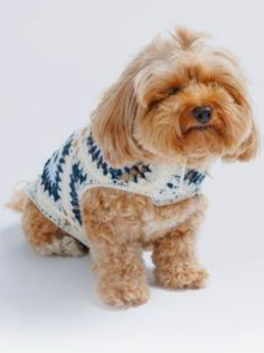 PETS: DOG CROCHET SHIRT - BLUE DIAMONDS